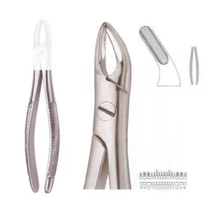 Extracting Forceps